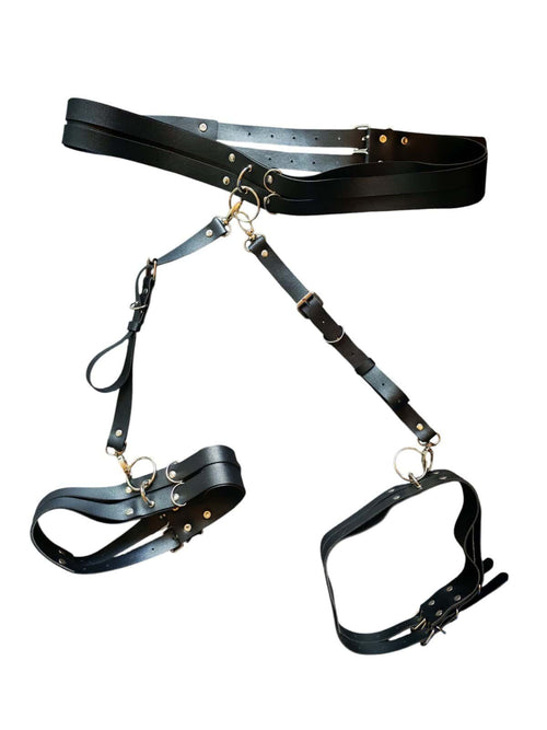 Alaosan harness reisiremmein