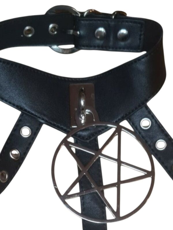 Yläosan harness (3957) - Image 3