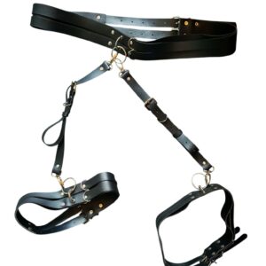 Alaosan harness reisiremmein